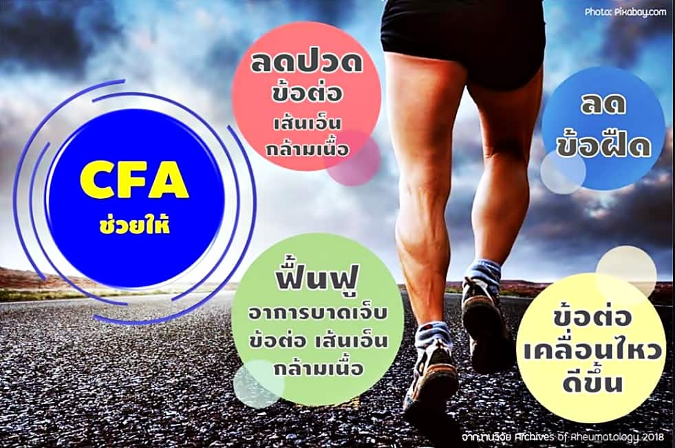 ครีม บรรเทาอาการปวดกล้ามเนื้อ สำหรับนักกีฬา